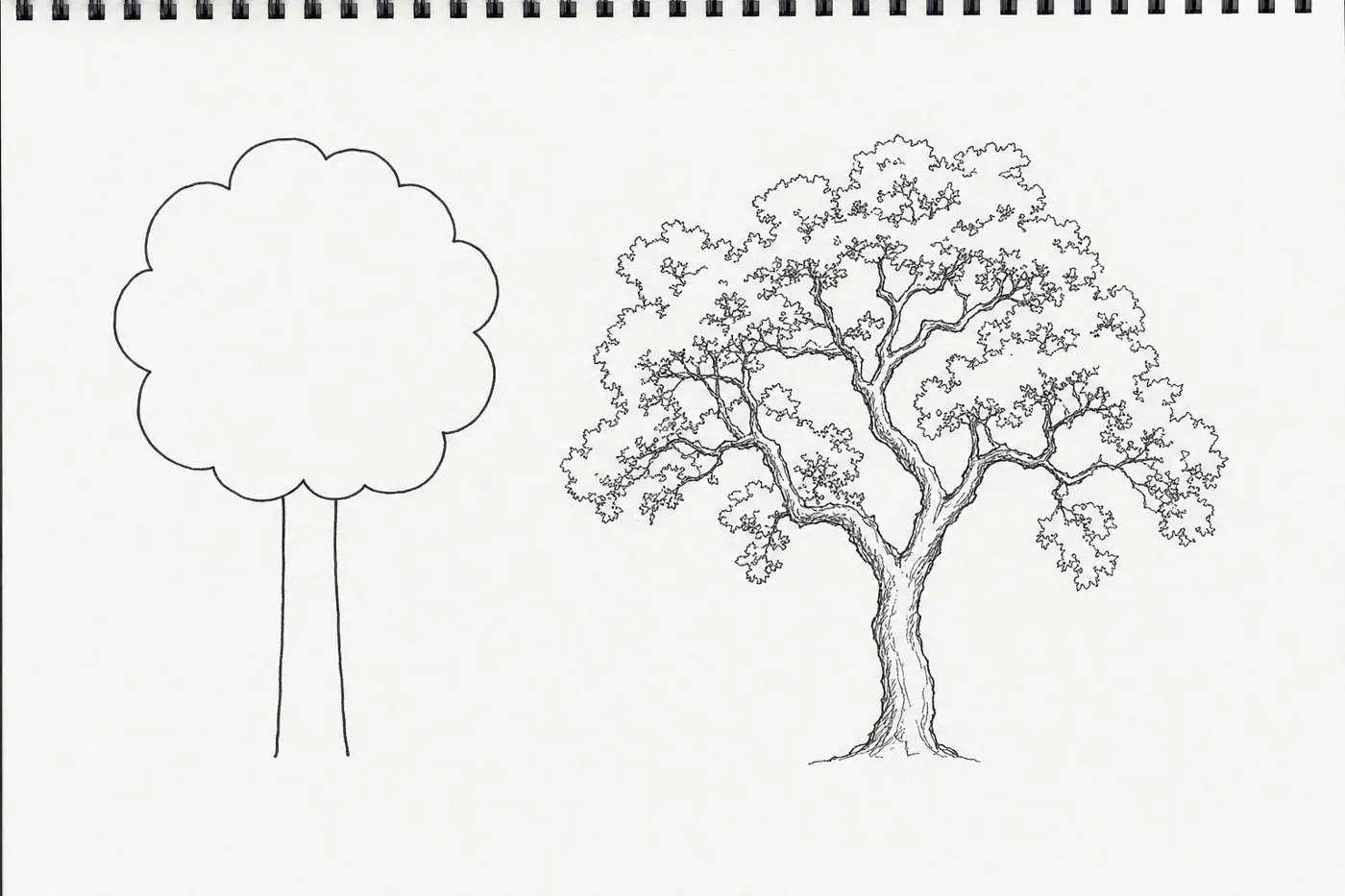 Two pen trees side by side: a lollipop symbol tree, and an observed oak with an irregular crown, sky gaps and crooked tapering limbs.
